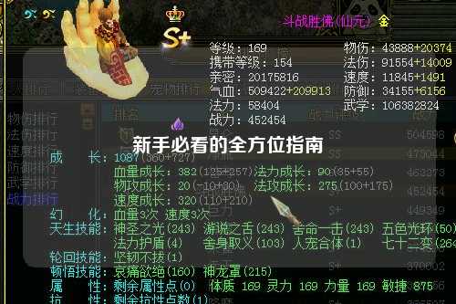 新手必看的全方位指南