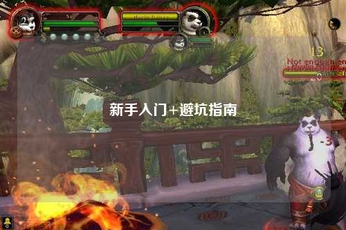 新手入门+避坑指南