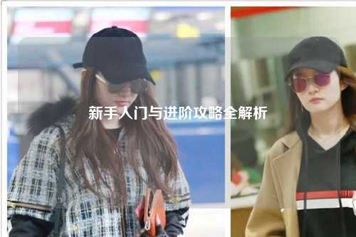 新手入门与进阶攻略全解析