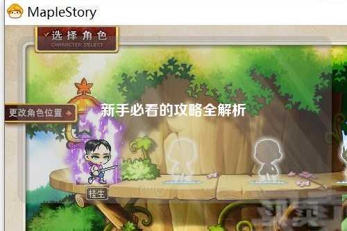 新手必看的攻略全解析