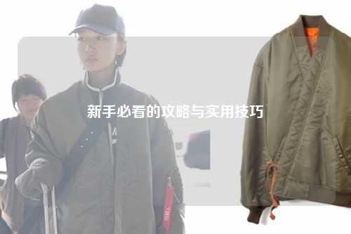 新手必看的攻略与实用技巧