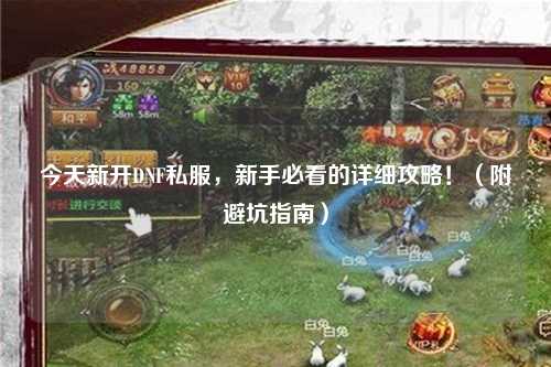 今天新开DNF私服,新手必看的详细攻略!(附避坑指南)