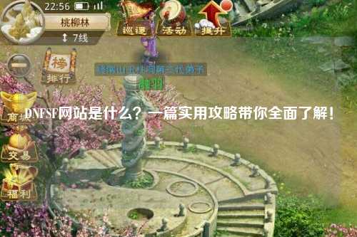DNFSF网站是什么?一篇实用攻略带你全面了解!